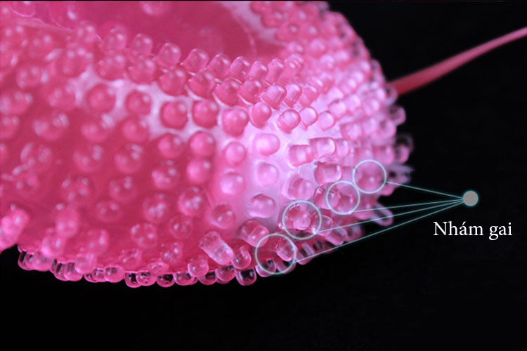 may-rung-diem-G-gai-mem-5, máy massage điểm G siêu gai